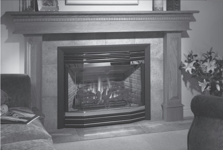 Panorama Zero Clearance Direct Vent Gas Fireplace (P42-3) P42-3